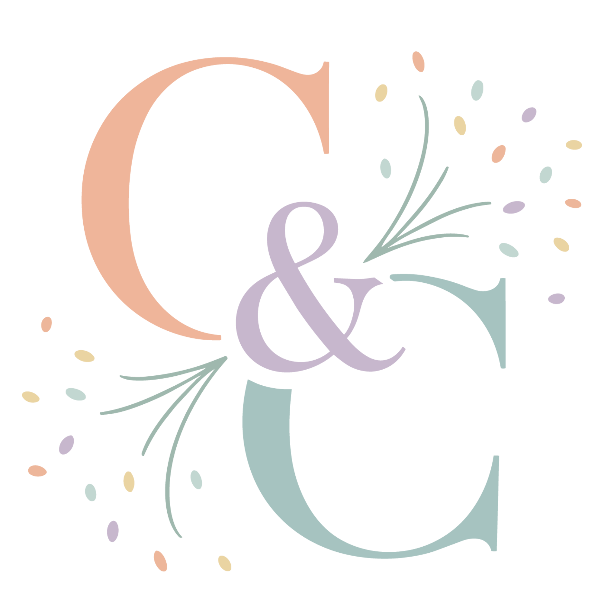 Canvas and Confetti